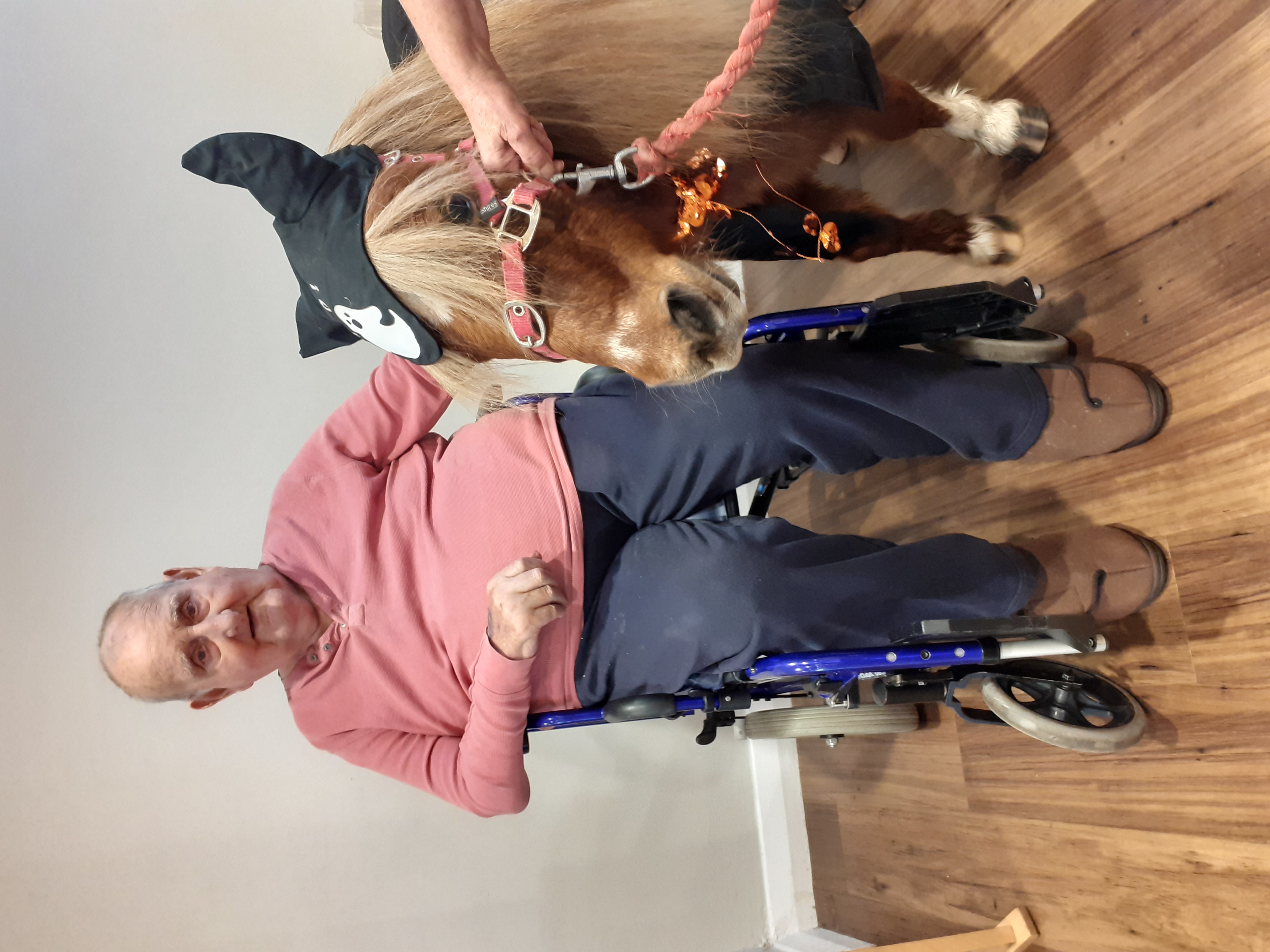 Ponies visit Paternoster House