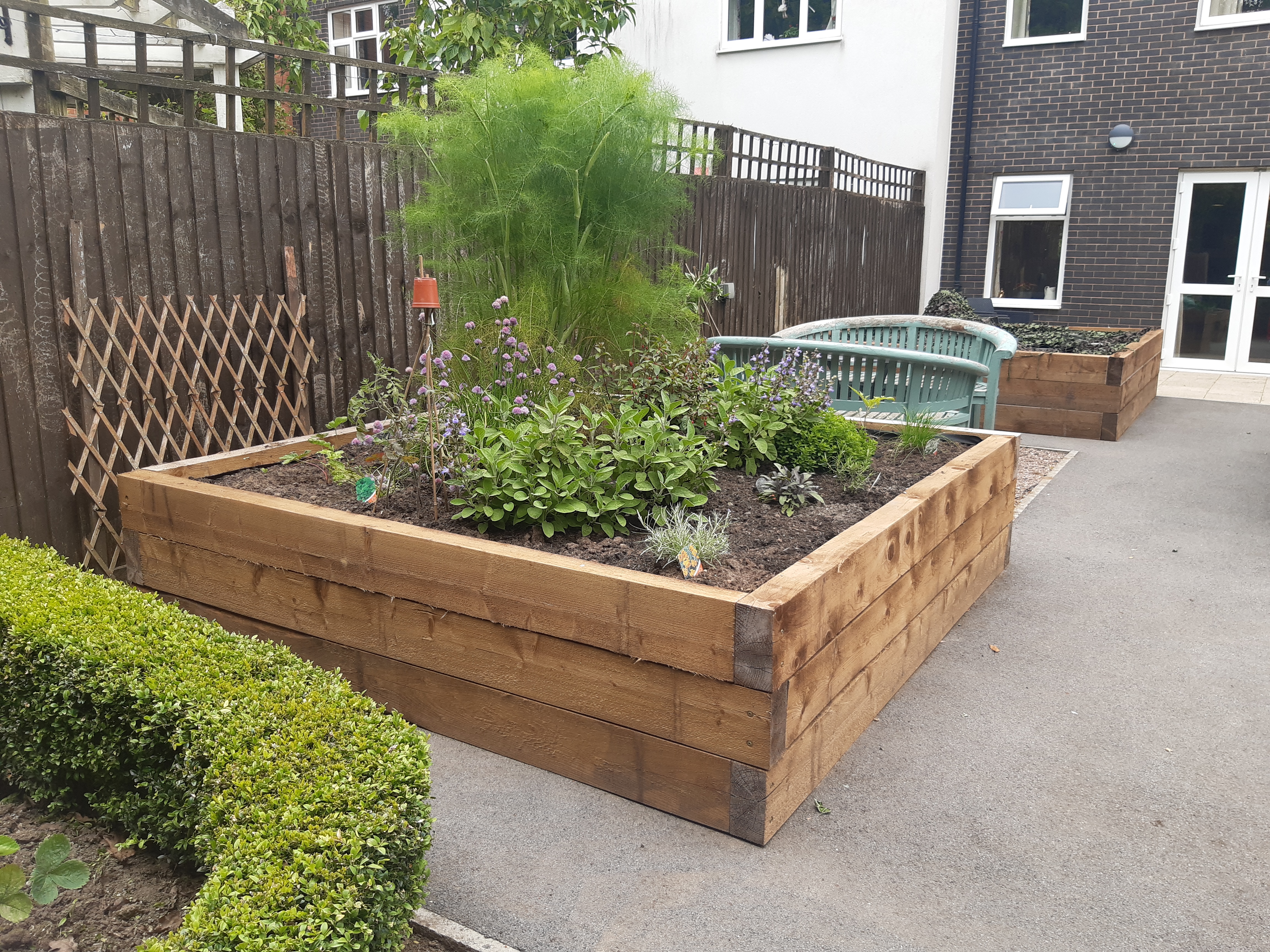 Raised beds at Hayward Care Centre's garden