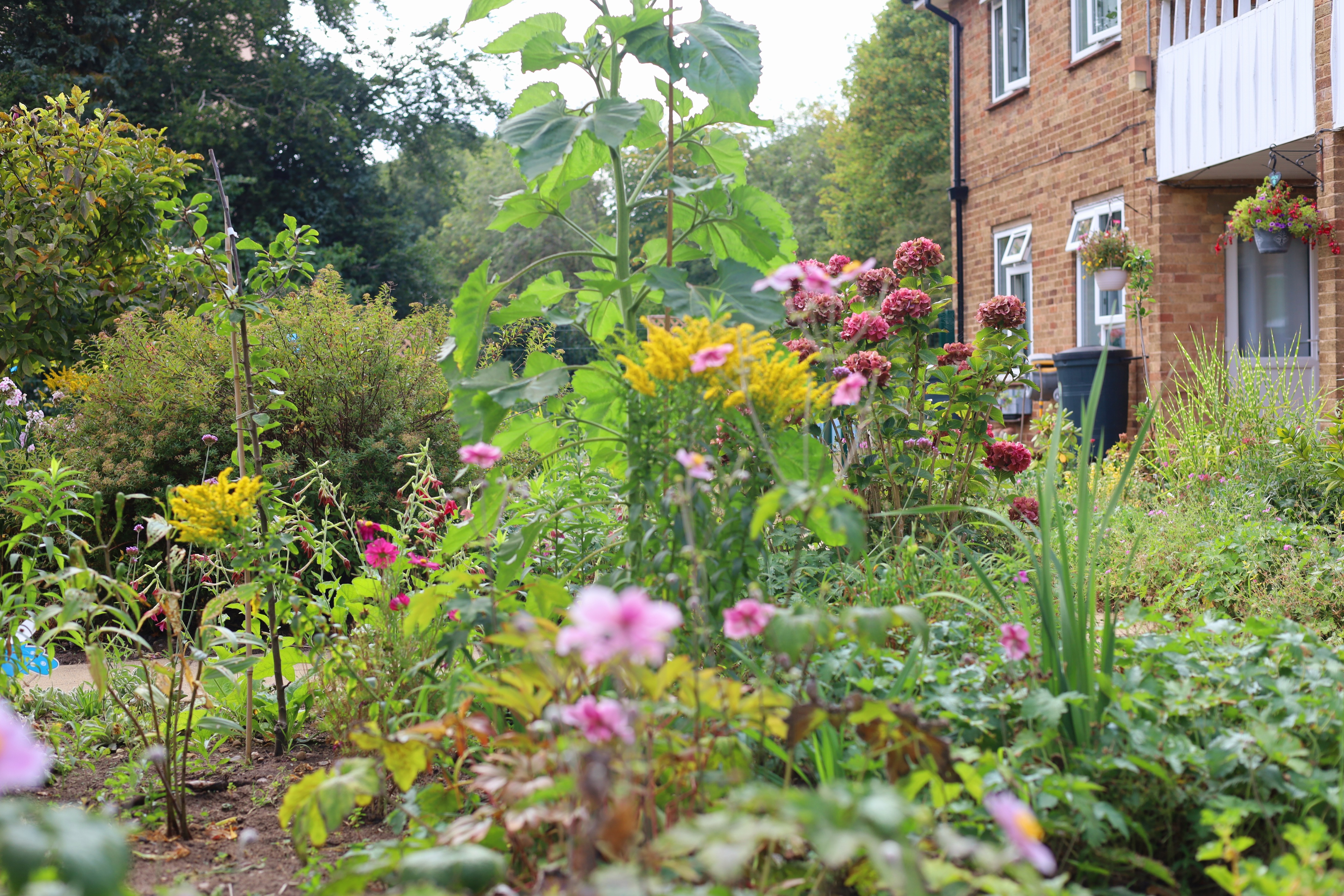 Colourful wildlife friendly gardens at Hartsholme House