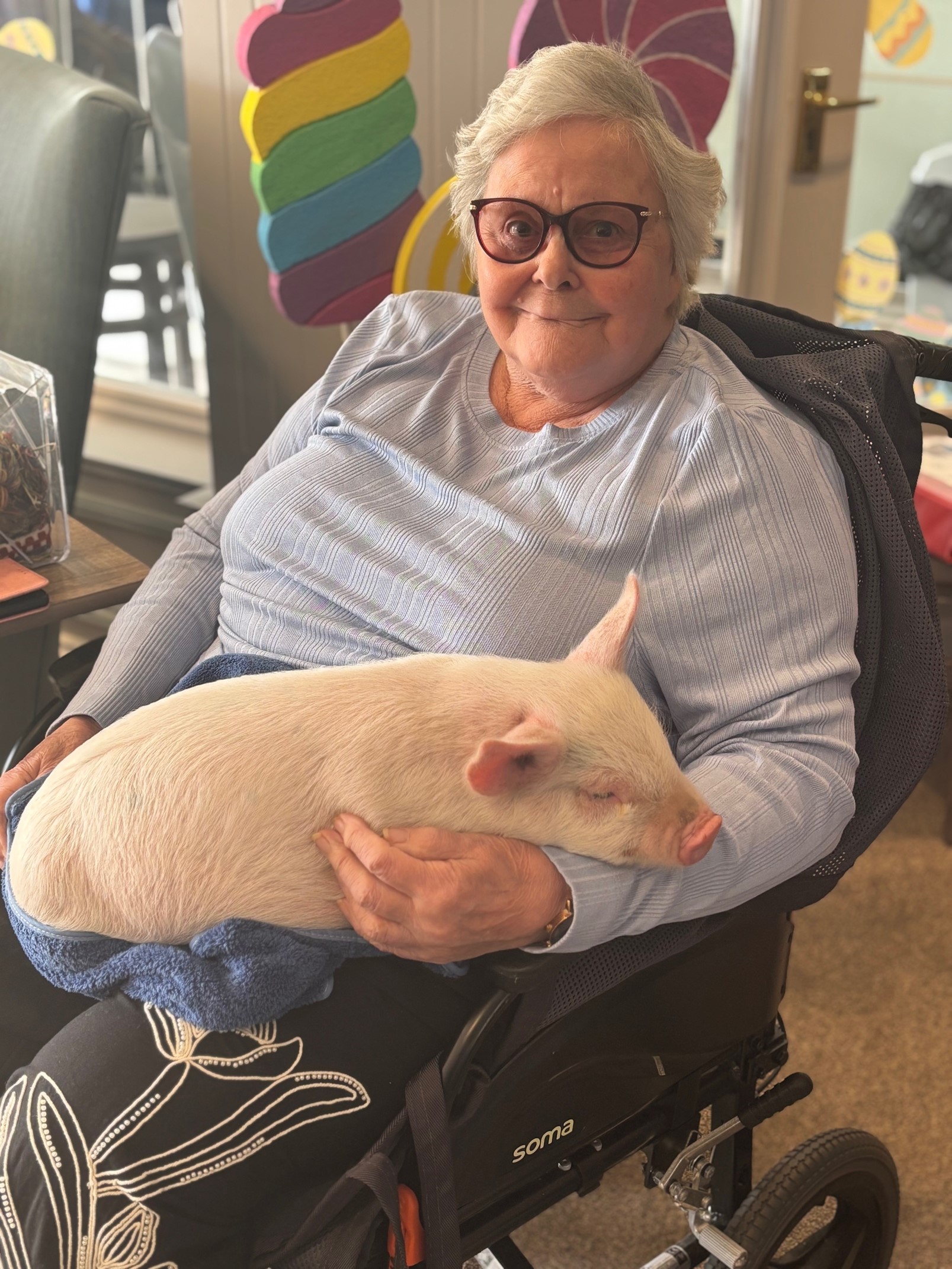 Resident Margaret Swanson with one of the visiting piglets