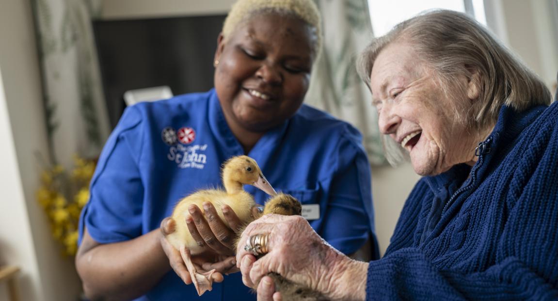 What is a care plan & why is it important