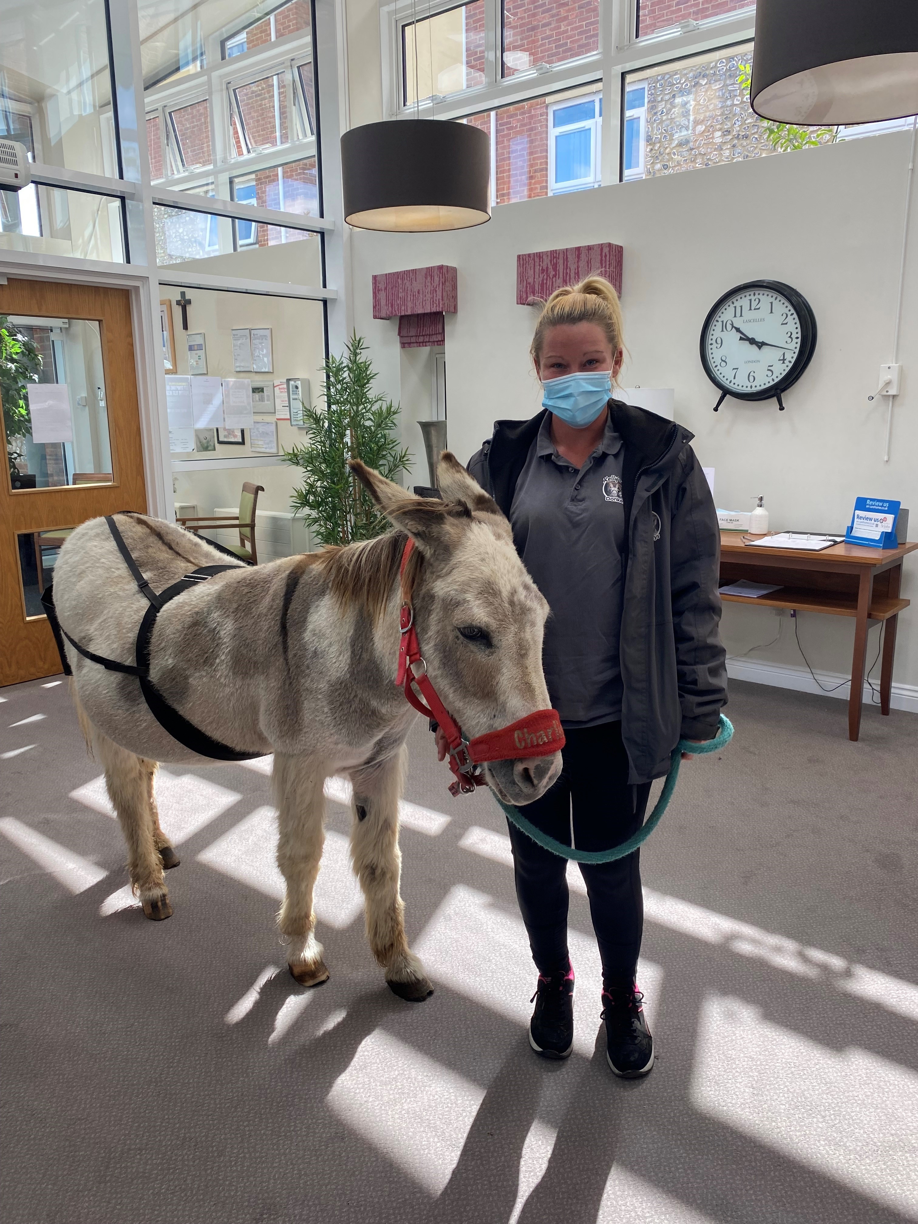 Charlie the donkey with carer Kelly