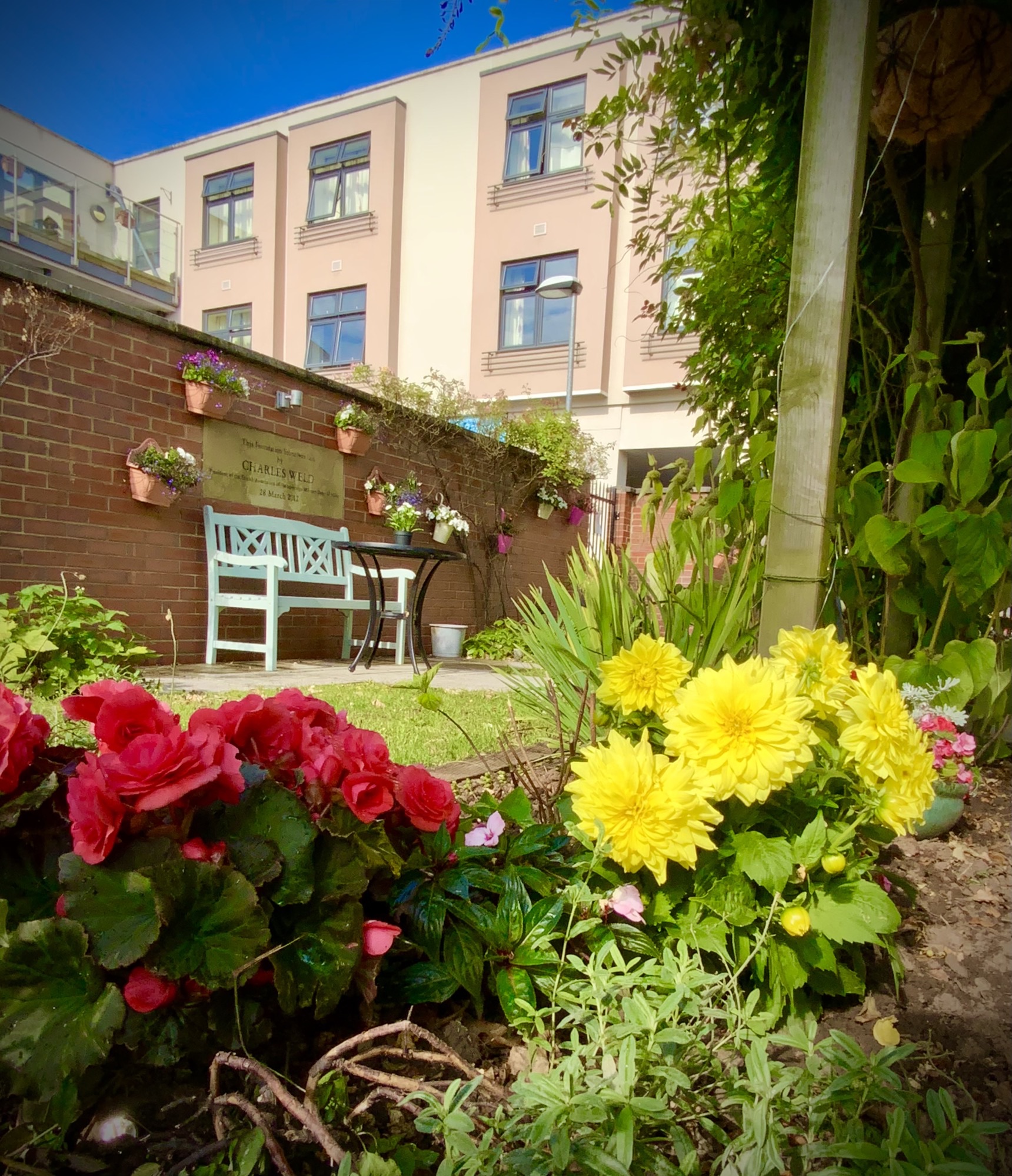 WIndsor street garden