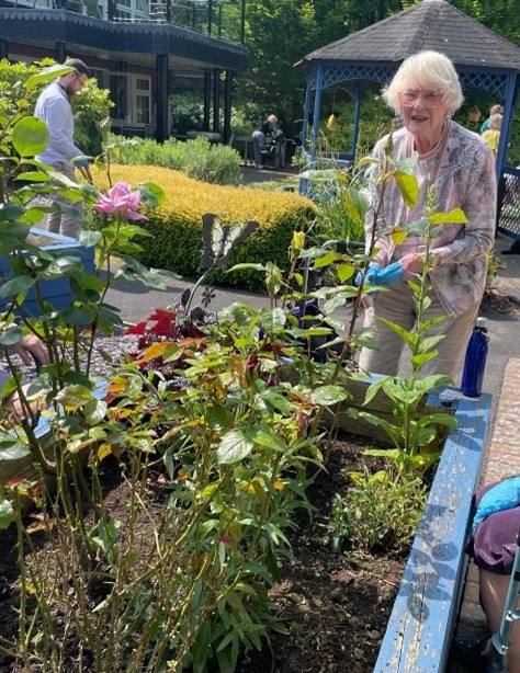 Summer is looming, and the gardens are blooming at Sir Aubrey Ward