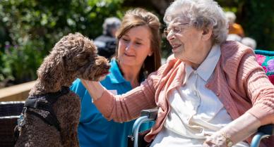 dementia-care