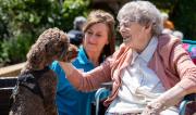 dementia-care