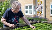 Gardening at Apple Trees