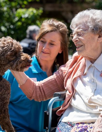 dementia-care