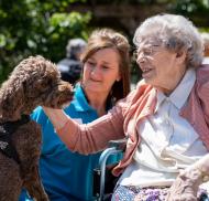 dementia-care