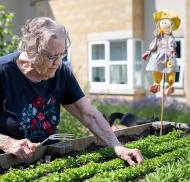 Gardening at Apple Trees