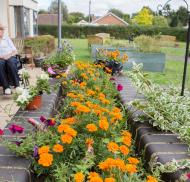 millbrook-lodge-garden.jpg
