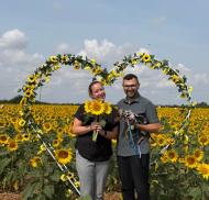 Athelstan House Sunflower Visit