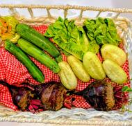 Fresh harvest from the Trust in Bloom gardens