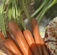 Freshly picked carrots displayed beside carrot cake.
