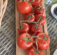 Freshly grown vine tomatoes on a wooden board.