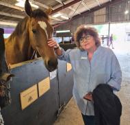 Resident reaches out to stroke a horse standing in its stable at Greatwood Charity.
