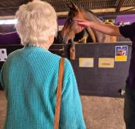 Resident observes a horse in the stables while hearing about Greatwood's work with former racehorses.