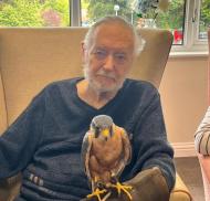 Feathers, talons and fascinating encounters at Coombe End Court