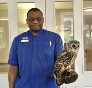 Feathers, talons and fascinating encounters at Coombe End Court