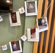 More photos of Goodson Lodge staff for "Guess the baby" game
