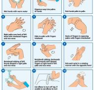 Athelstan House Champions Infection Prevention Week 
