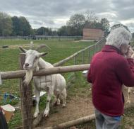 Goodson Lodge residents seeing the goats.