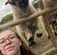 A team member taking a selfie with two sheep.