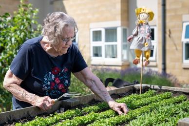 Gardening at Apple Trees
