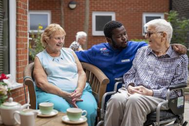 Apple Trees Main Photo