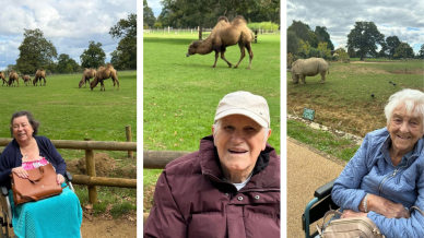Marden Court residents exploring Cotswold Wildlife Park.