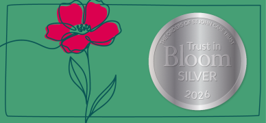 trust_in_bloom_winners_badge_email_signature_silver.png
