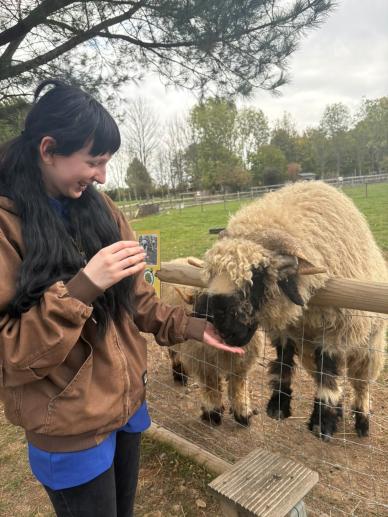Residents at Goodson Lodge enjoying a day out to Fairfield Animal Centre