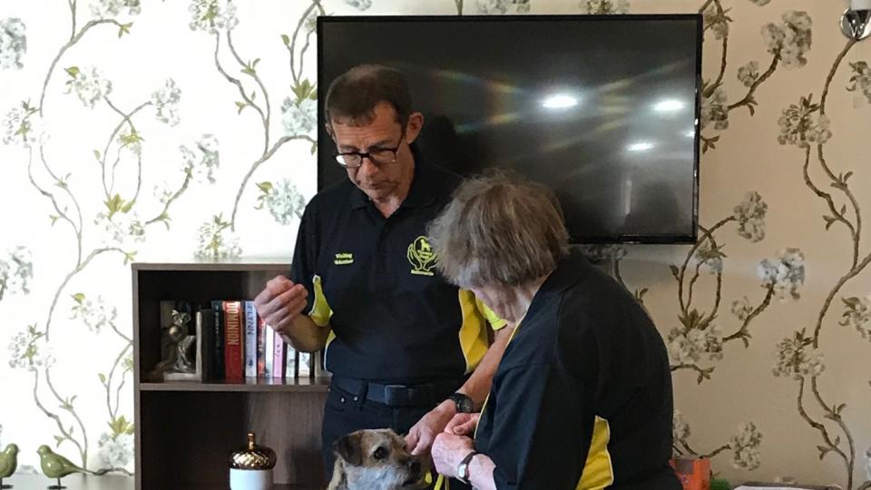 Edwardstow animal therapy