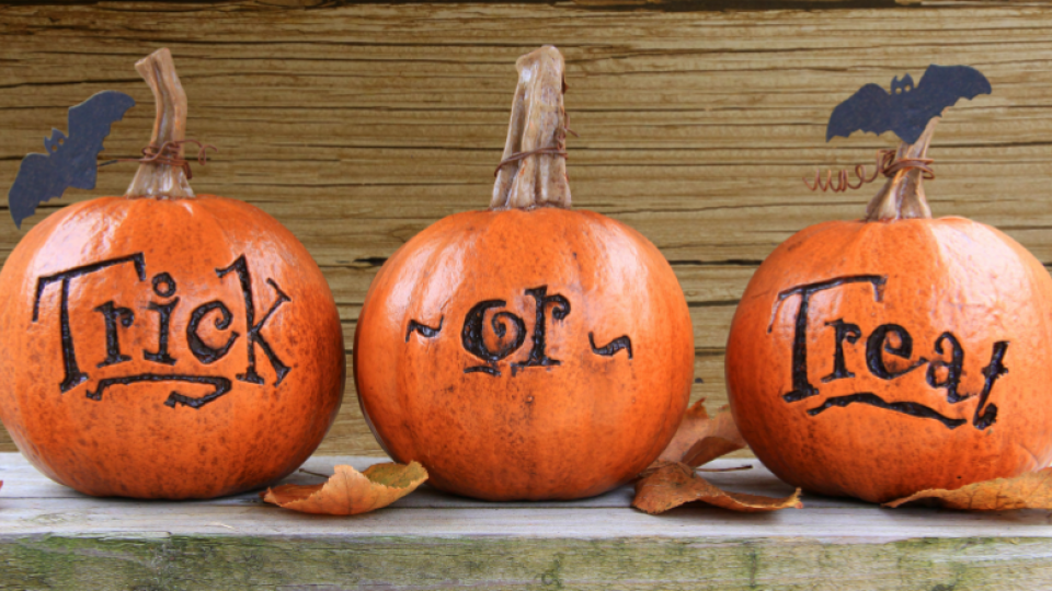 OSJCT Lake House trick or treat