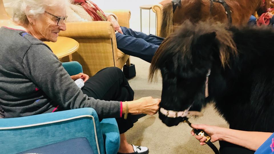 pony visits Edwardstow Court