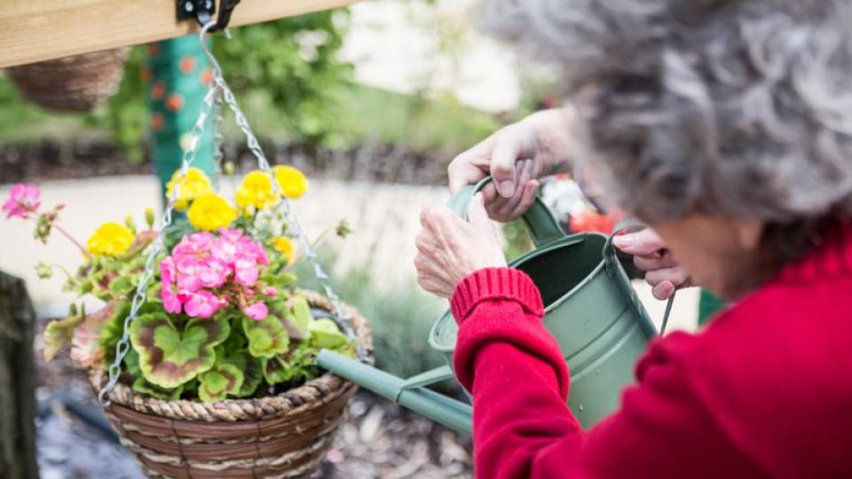 the lakes alzheimers