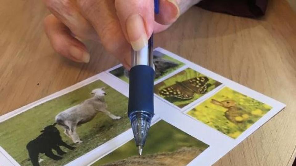 Wilts Wildlife Trust postcards