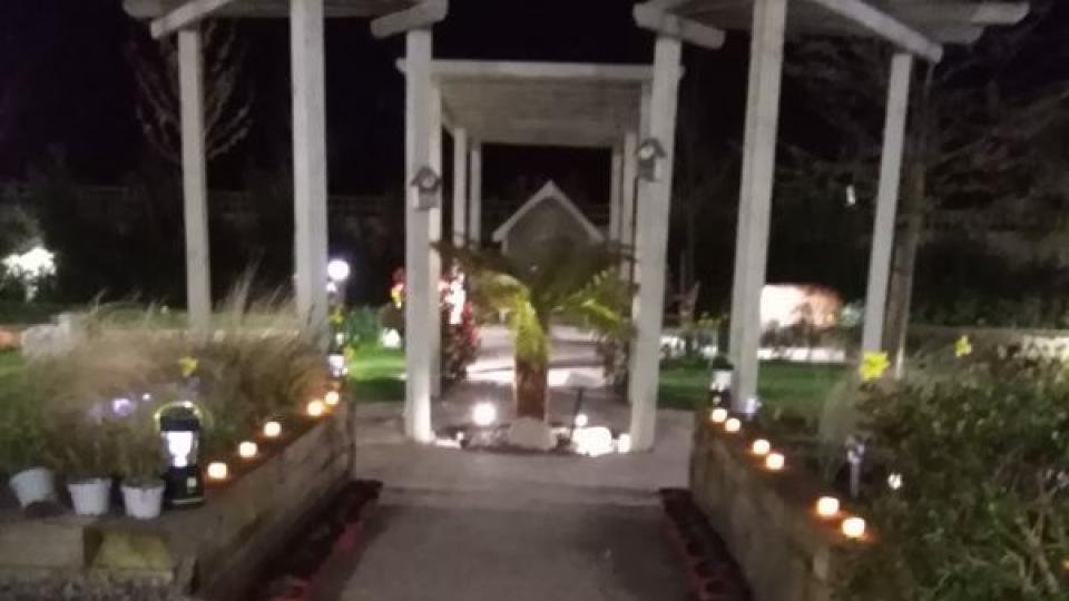 Pathway to reflection