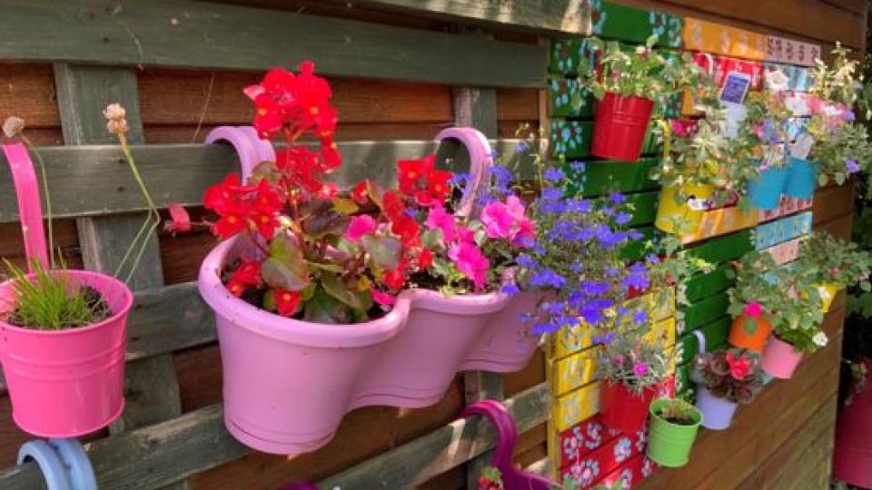 Bright and colourful plant pots