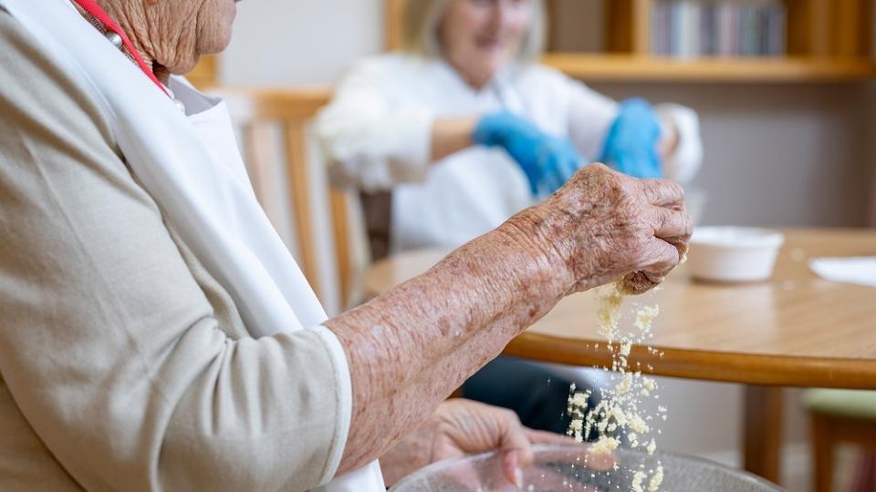 Top 10 hobbies for seniors or older people