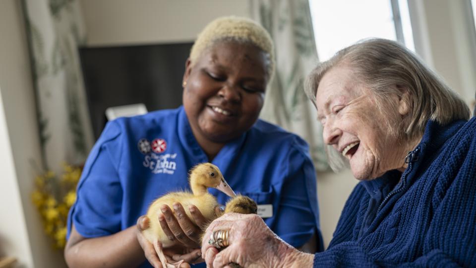 What is a care plan & why is it important?