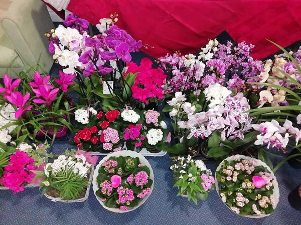 Lots of Garden donations!