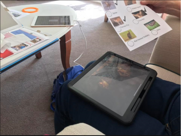 Residents enjoy a virtual safari