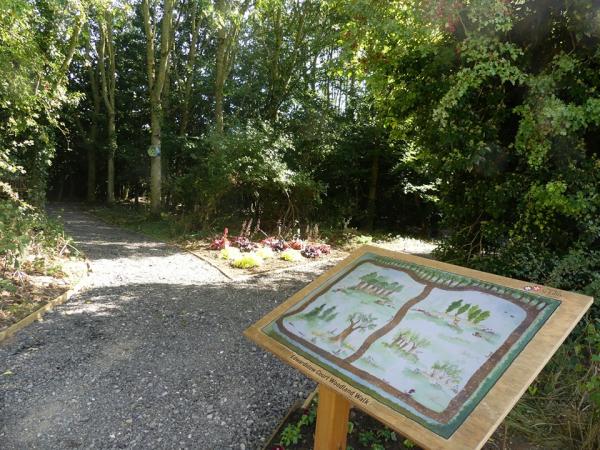 Walks in the woodland at Edwardstow Court