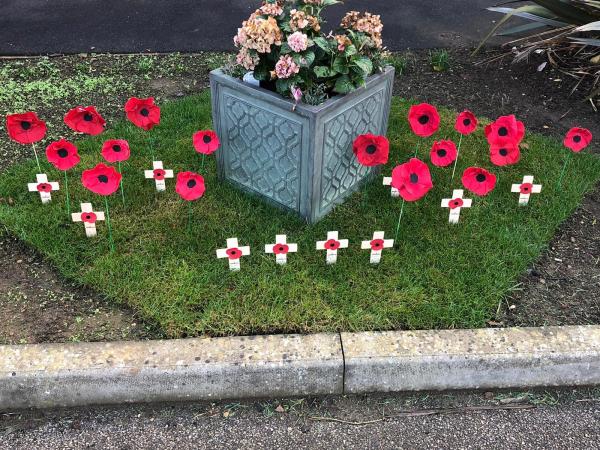 Poppy display for Remembrance Day