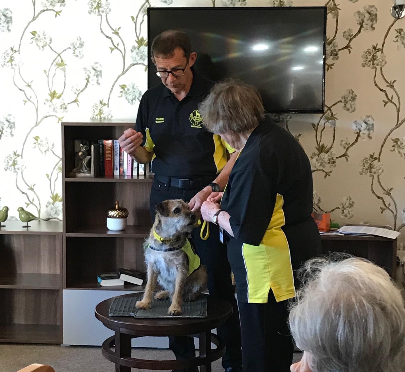 Edwardstow animal therapy