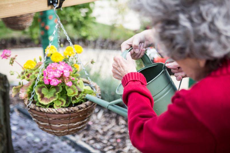 the lakes alzheimers