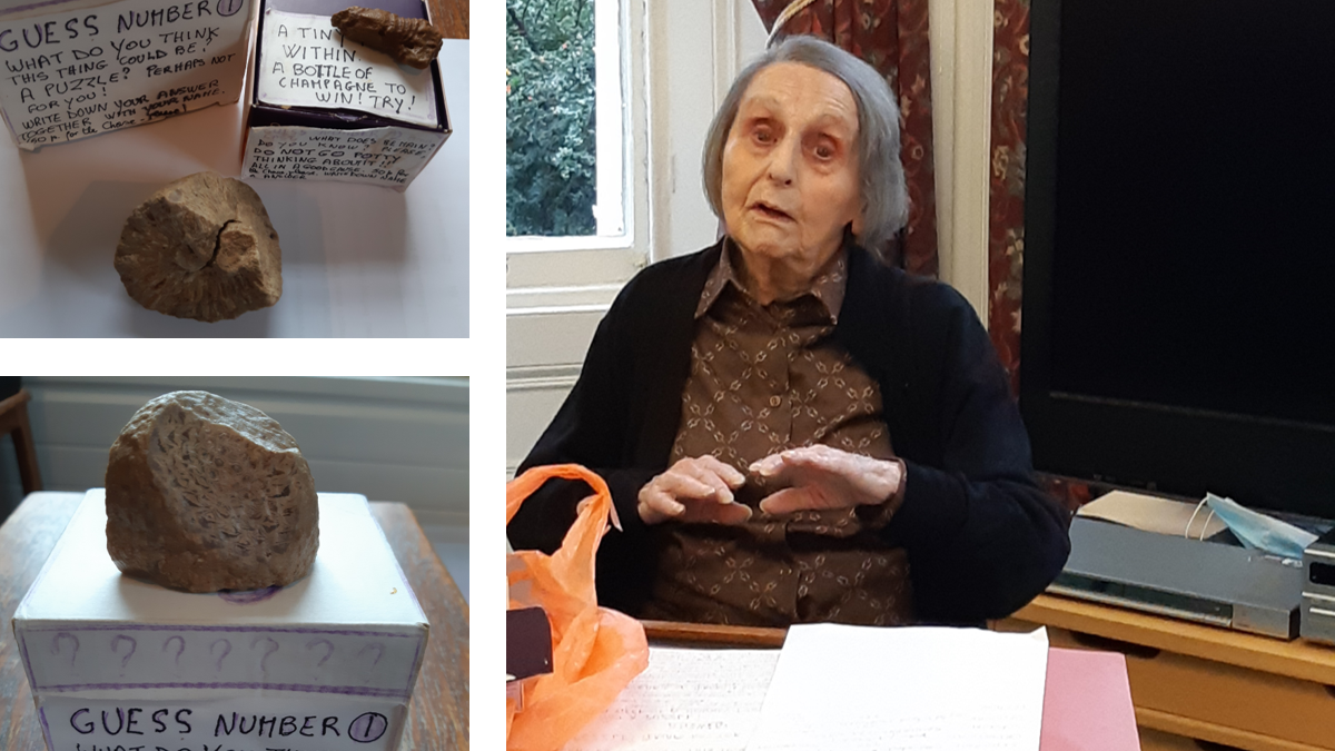 Maria Theresa's talk on fossils