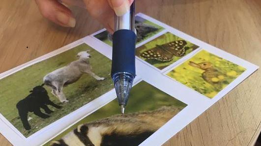 Wilts Wildlife Trust postcards