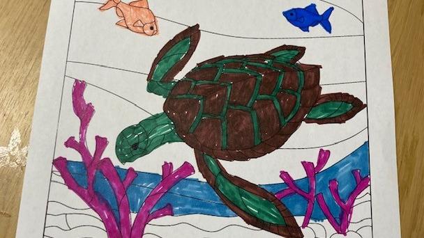 turtle day the lakes